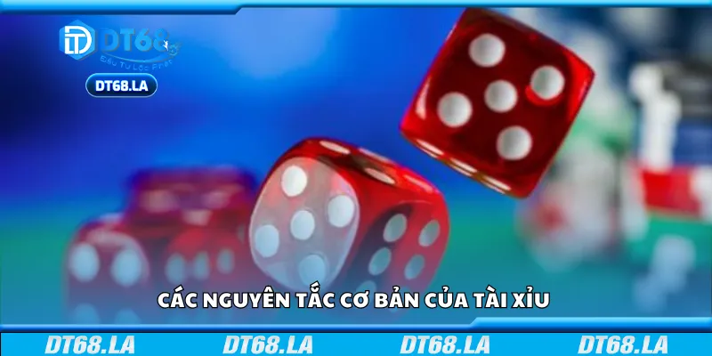 Các nguyên tắc cơ bản của Tài Xỉu 